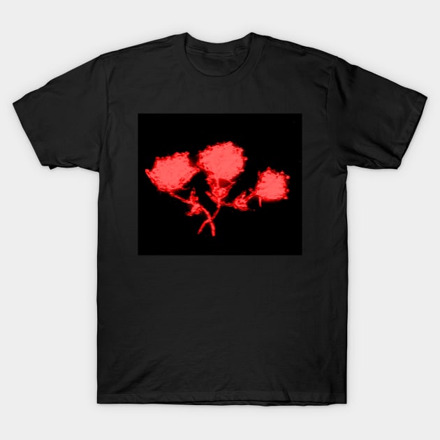 RED GLASS ROSES T-Shirt by neilstuartcoffey